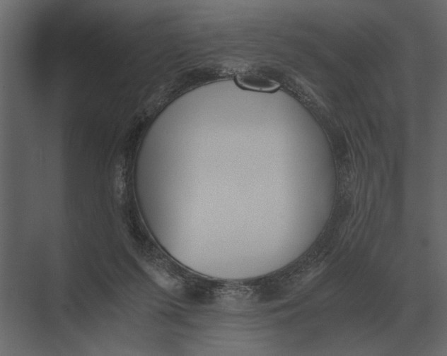 X0000073450215200608181247