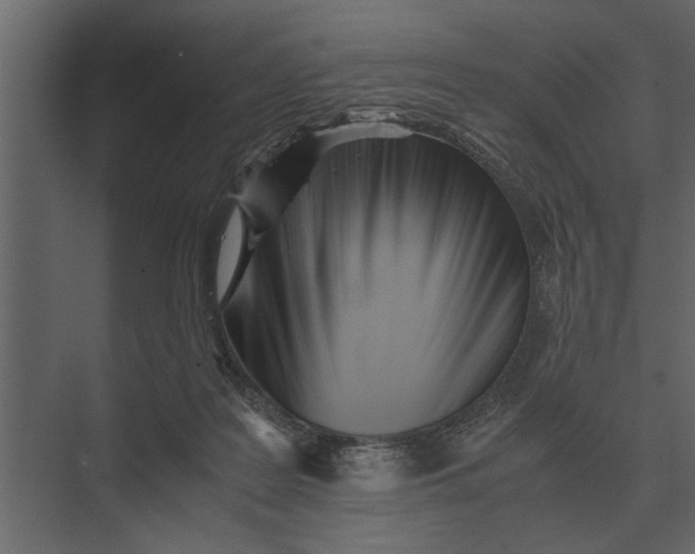 X0000073450219200608181247