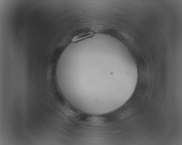 X0000073450221200608181247