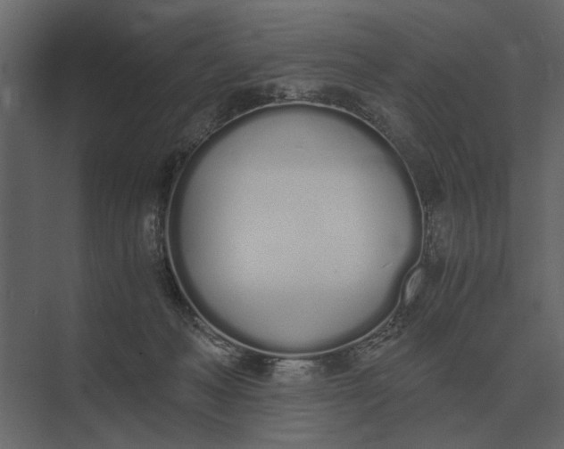 X0000073450222200608181247