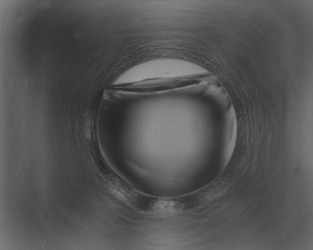 X0000073450227200608181247