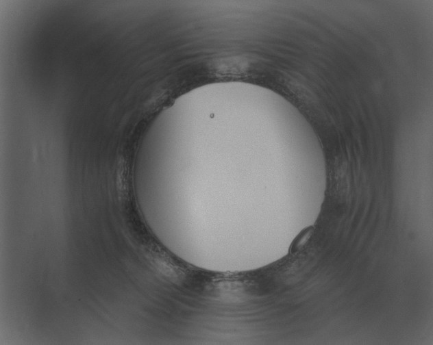 X0000073450228200608181247