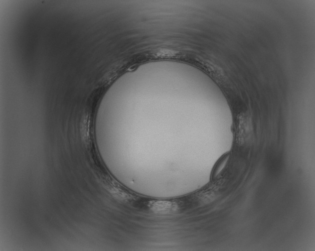 X0000073450230200608181247