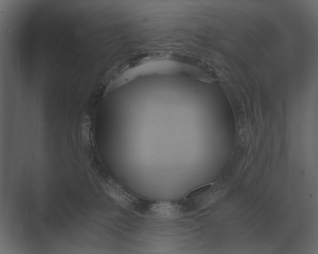 X0000073450231200608181247