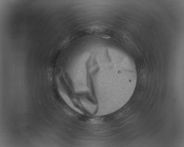 X0000073450232200608181247