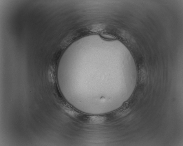 X0000073450234200608181247