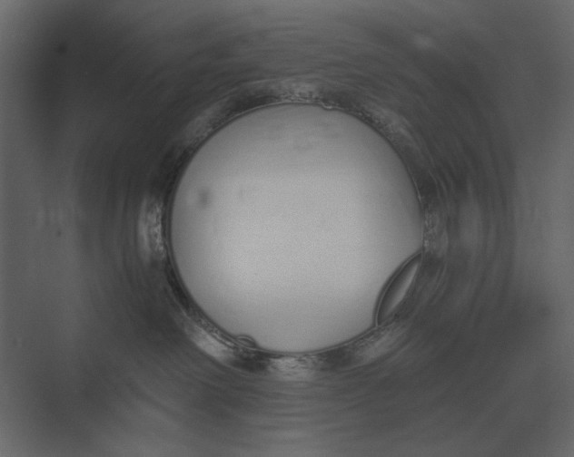 X0000073450238200608181247