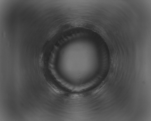 X0000073450239200608181247