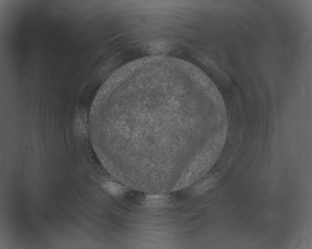 X0000073450240200608181247