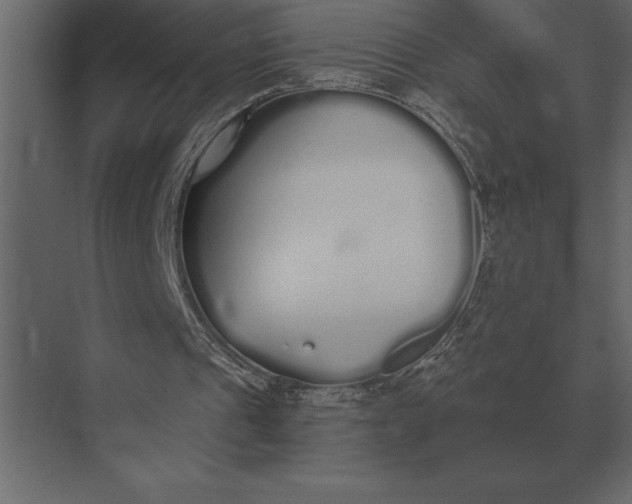 X0000073450241200608181246