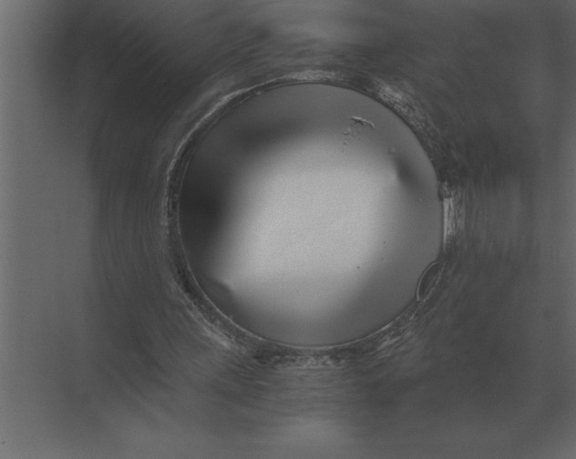 X0000073450243200608181246