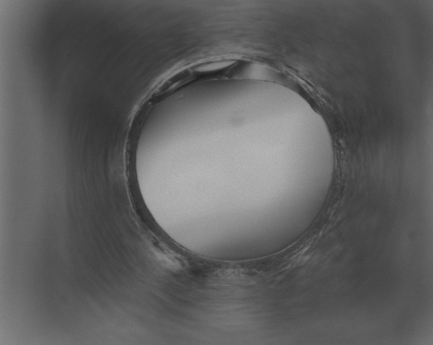 X0000073450244200608181246