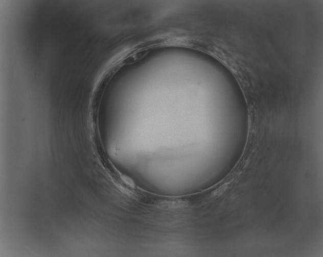 X0000073450245200608181246