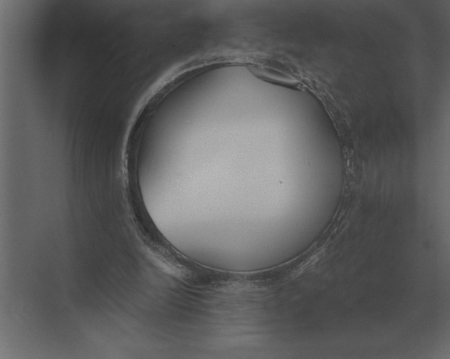 X0000073450246200608181246