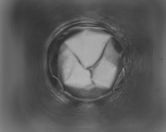 X0000073450247200608181246