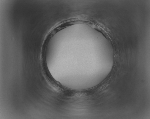 X0000073450248200608181246