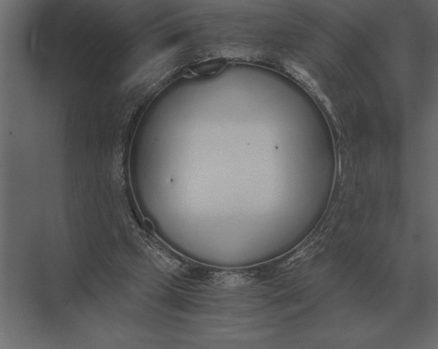 X0000073450249200608181246