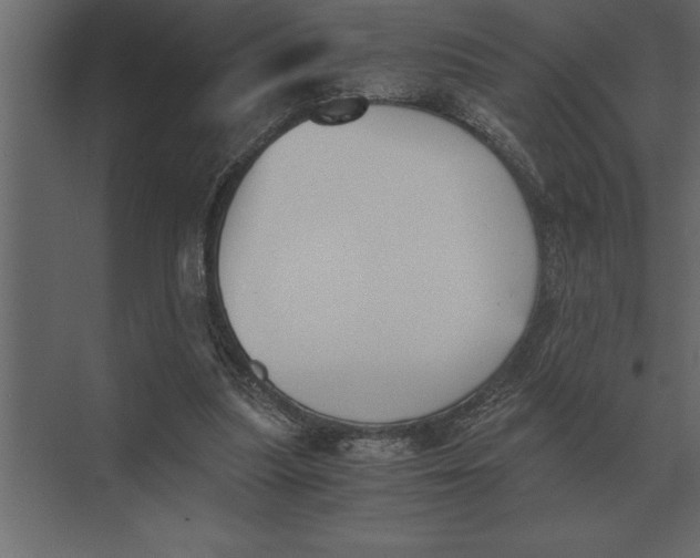 X0000073450251200608181246