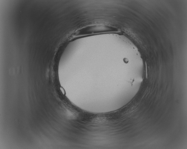 X0000073450252200608181246