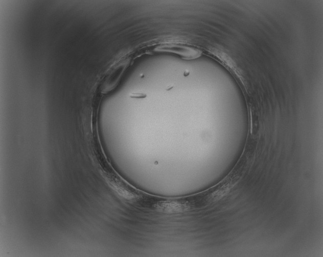 X0000073450253200608181246