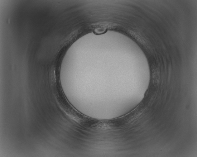 X0000073450254200608181246