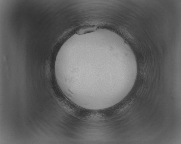 X0000073450256200608181246