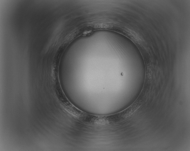 X0000073450258200608181246