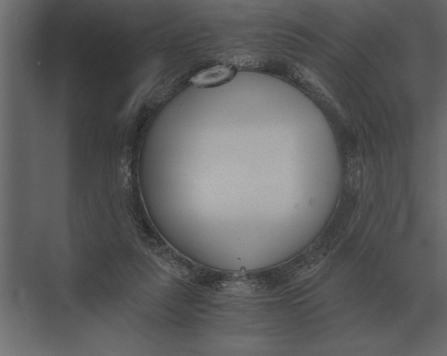 X0000073450259200608181246