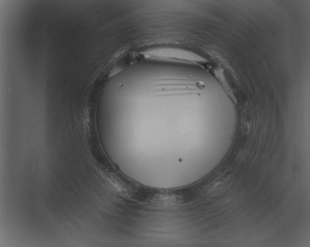 X0000073450260200608181246