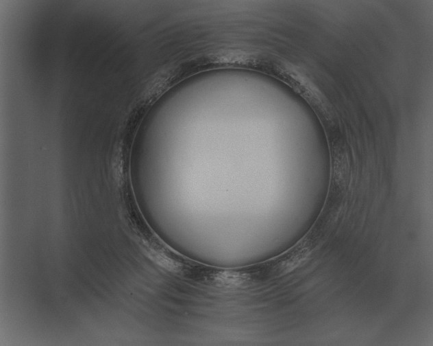 X0000073450261200608181246