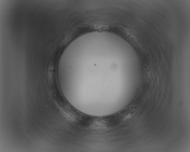 X0000073450263200608181246