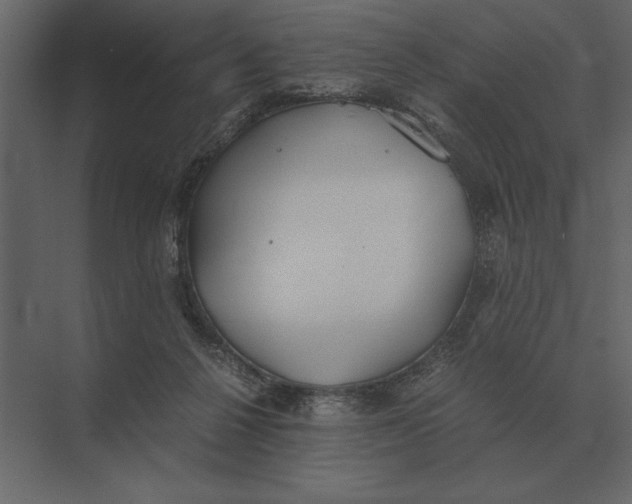 X0000073450264200608181246