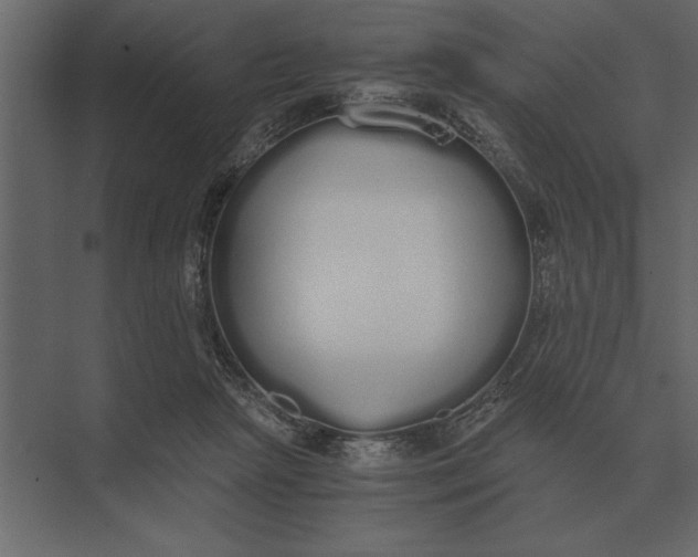 X0000073450265200608181246