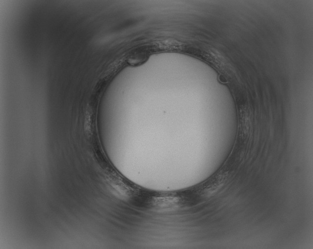 X0000073450266200608181246