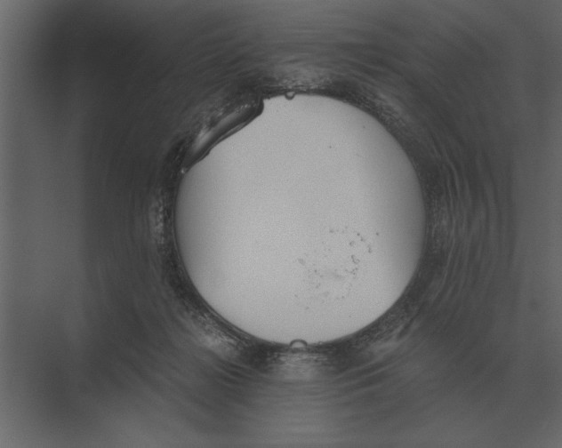 X0000073450268200608181246