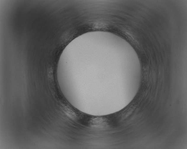 X0000073450269200608181246