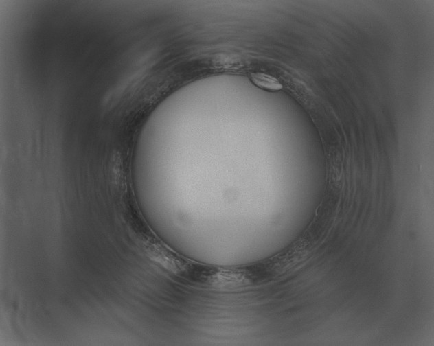 X0000073450270200608181246