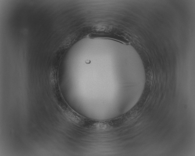 X0000073450272200608181246