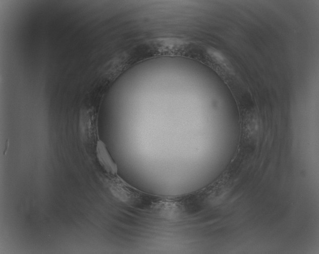 X0000073450276200608181246