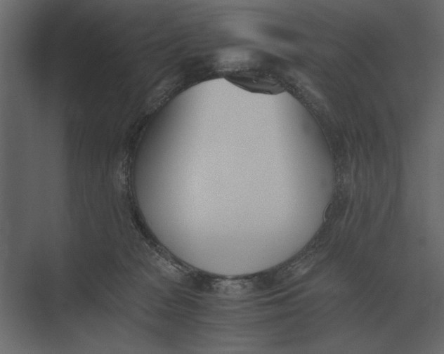 X0000073450277200608181246