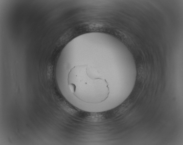 X0000073450278200608181246