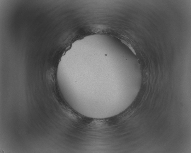 X0000073450280200608181246