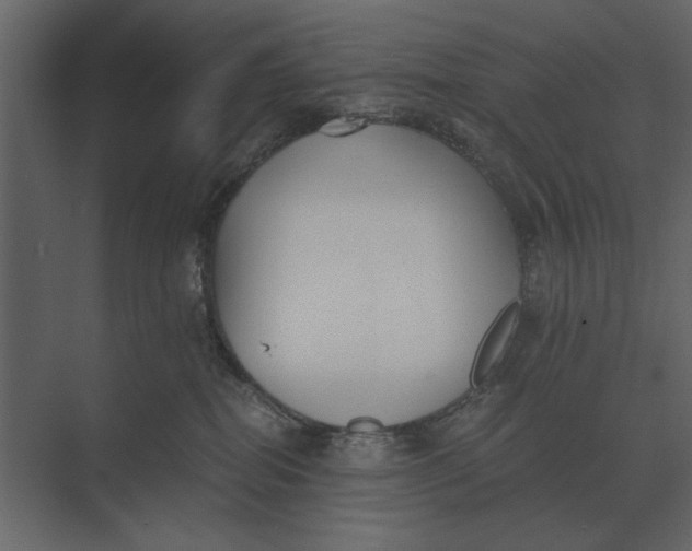 X0000073450282200608181246