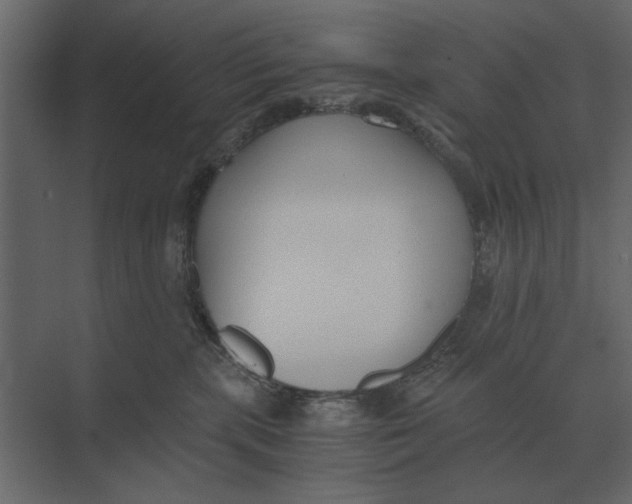 X0000073450283200608181246