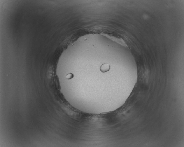 X0000073450284200608181246