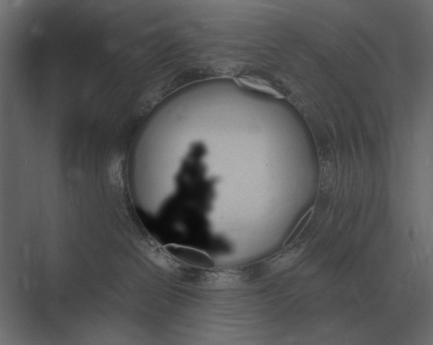 X0000073450286200608181246