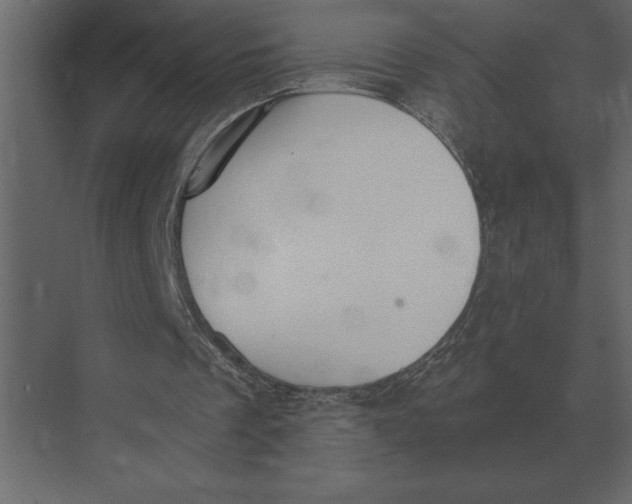 X0000073450289200608181246