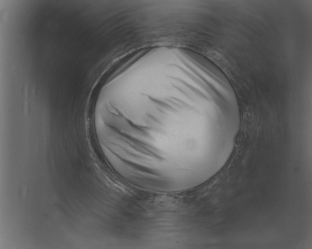 X0000073450290200608181246