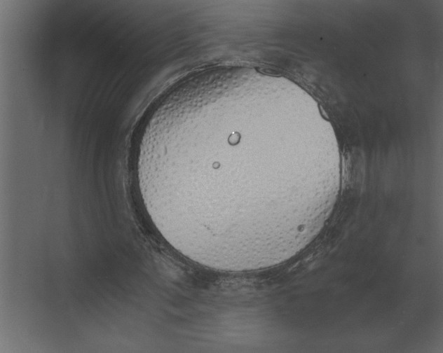 X0000073450291200608181246