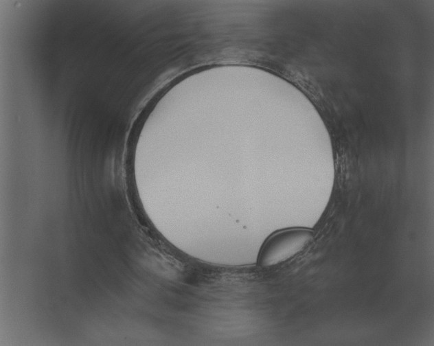 X0000073450292200608181246